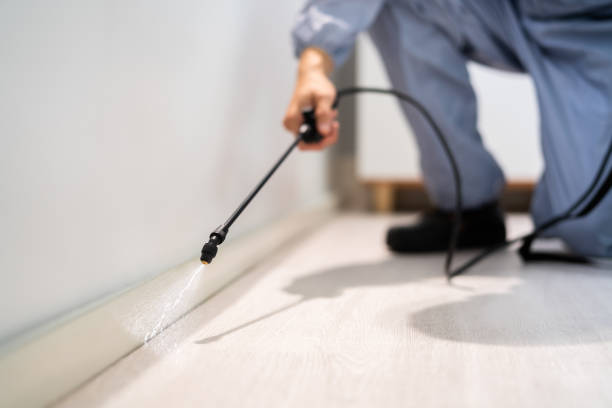 Bed Bug Pre-Treatment Preparation Assessment in Meeker