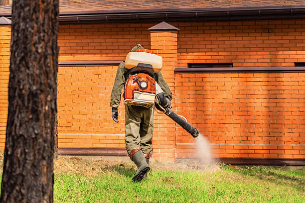 Bed Bug Clearance Verification and Documentation in Meeker